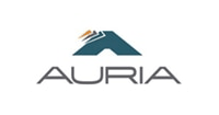 Auria Solutions GmbH